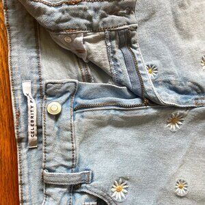 Embroidered Flower Light Wash Jean Shorts